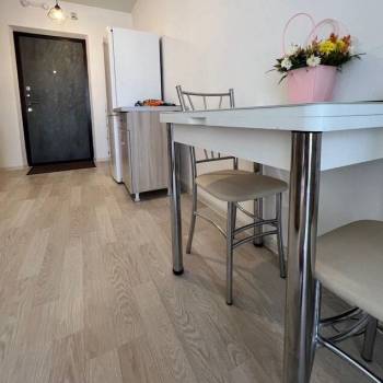 Сдается 1-комнатная квартира, 23,5 м²