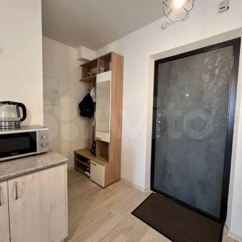 Сдается 1-комнатная квартира, 23,5 м²