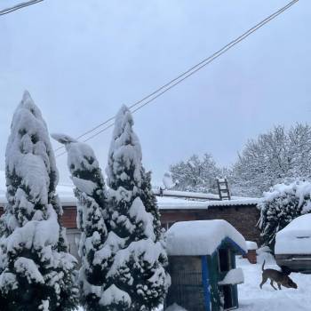 Сдается Дом, 69 м²