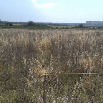 Продается Участок, 500 м²