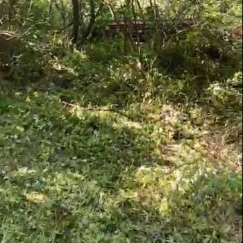 Продается Участок, 510 м²