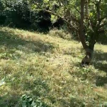 Продается Участок, 510 м²