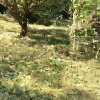 Продается Участок, 510 м²