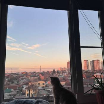 Сдается 1-комнатная квартира, 0 м²