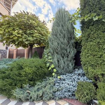 Продается Дом, 310 м²