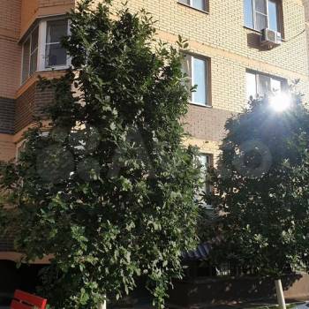 Сдается 2-х комнатная квартира, 44 м²