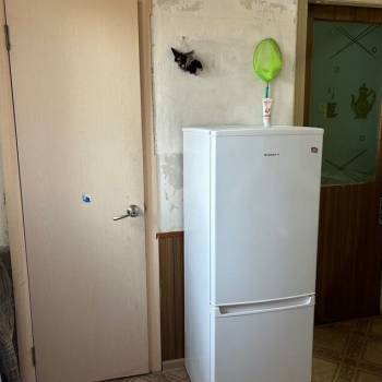 Сдается Комната, 12 м²