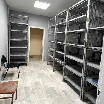 Сдается Нежилое помещение, 57 м²