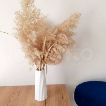 Сдается 1-комнатная квартира, 33,5 м²