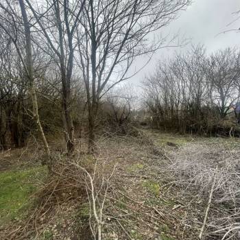 Продается Участок, 600 м²