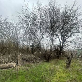 Продается Участок, 600 м²