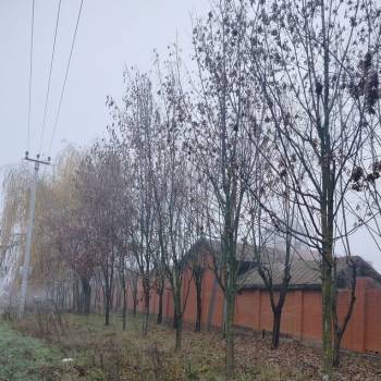 Продается Дом, 650 м²