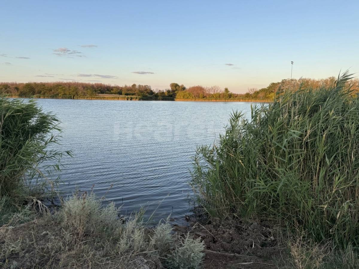 Фотография №11