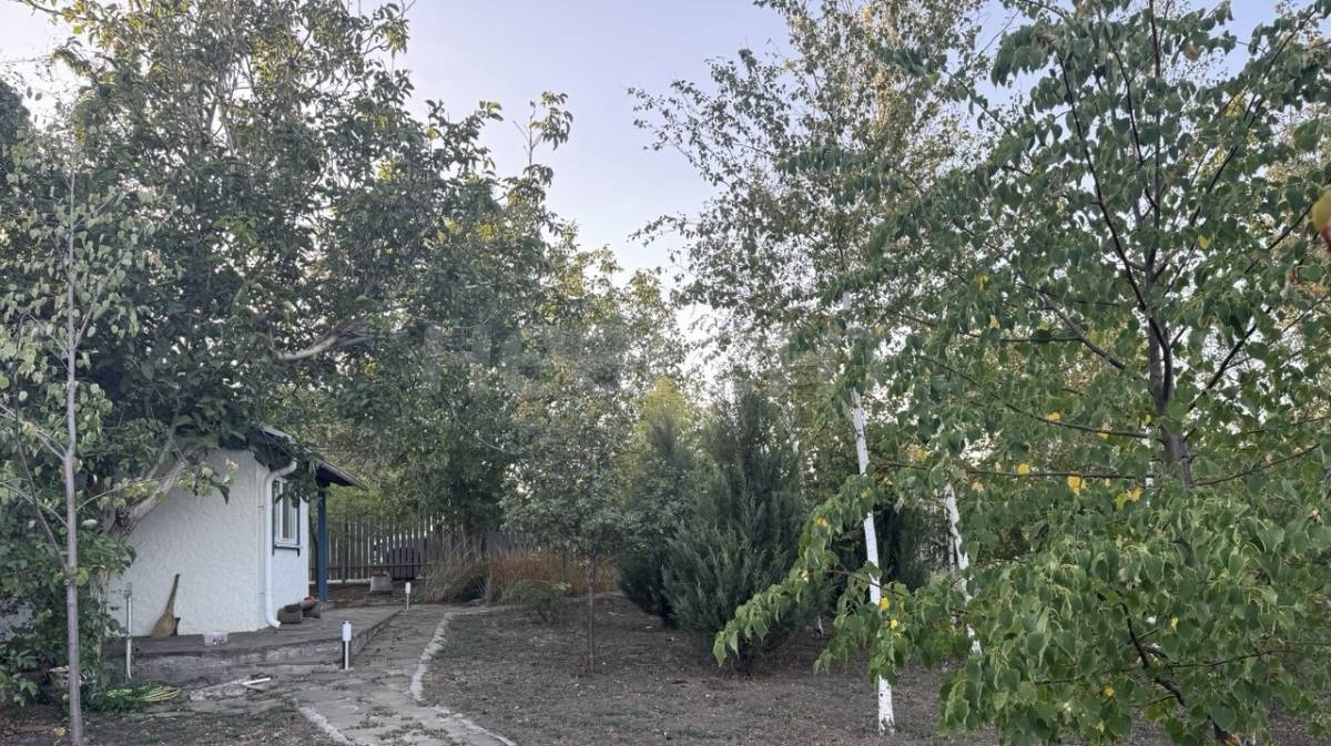 Фотография №6