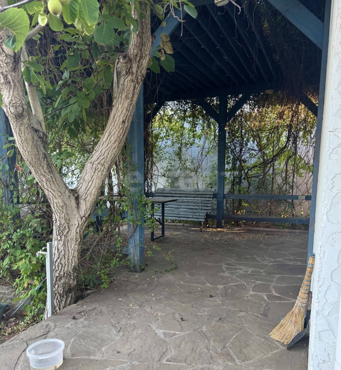 Фотография №8