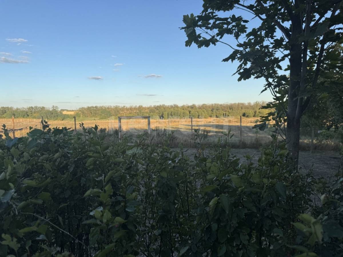 Фотография №9