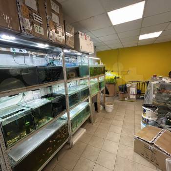 Сдается Нежилое помещение, 36 м²