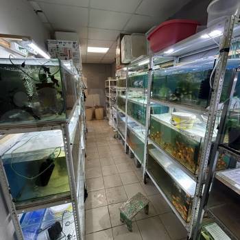 Сдается Нежилое помещение, 36 м²