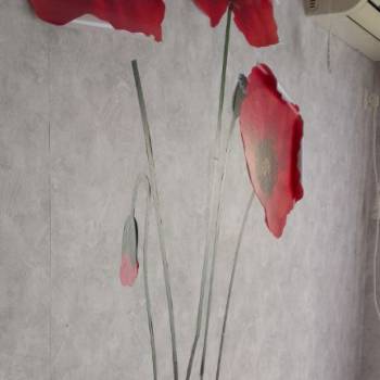 Сдается Комната, 55 м²