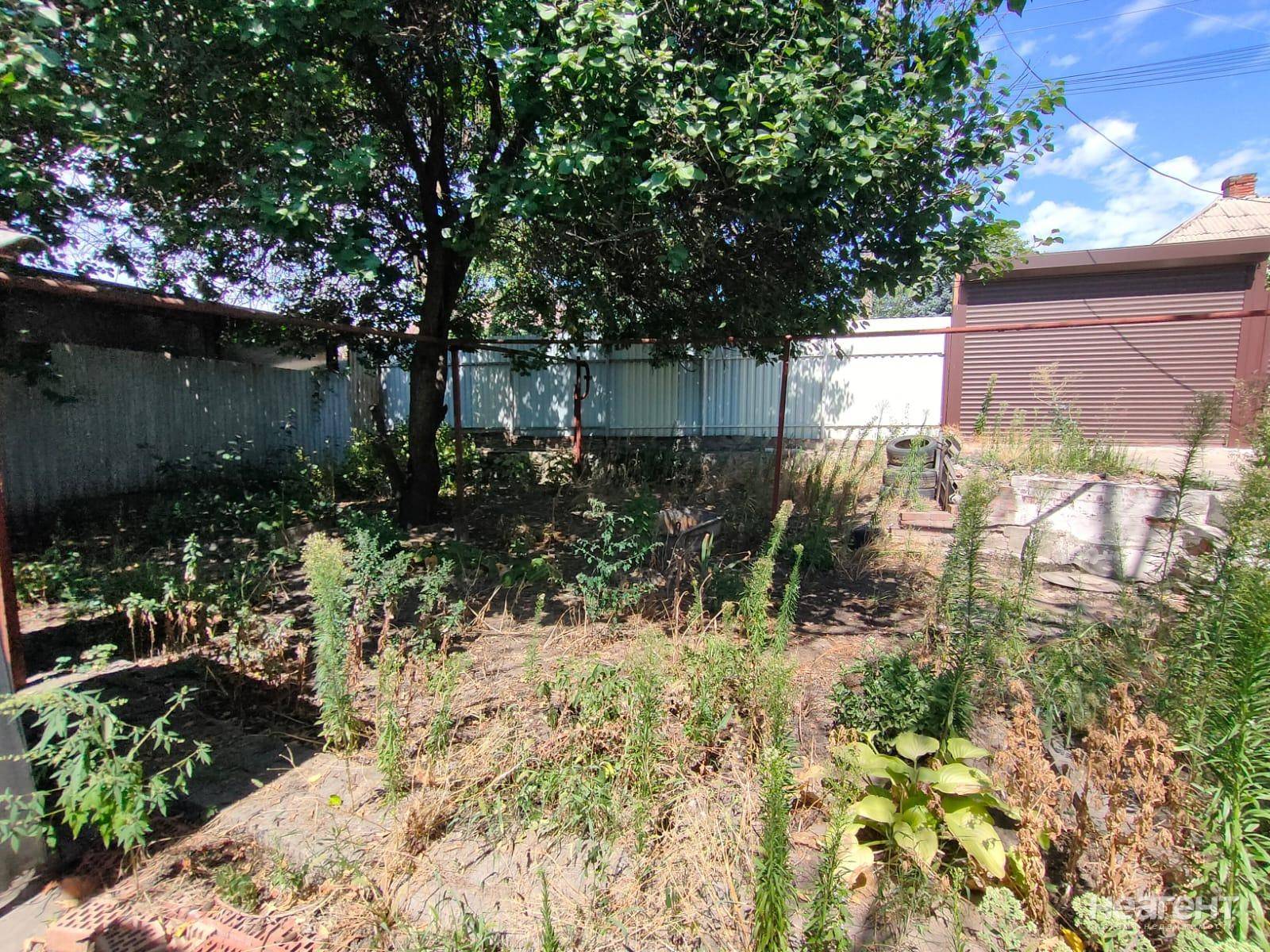 Фотография №4