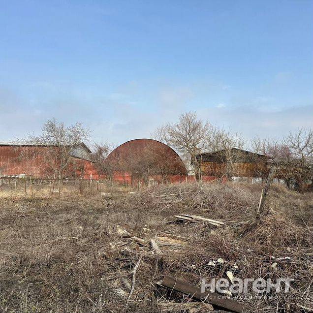 Фотография №3