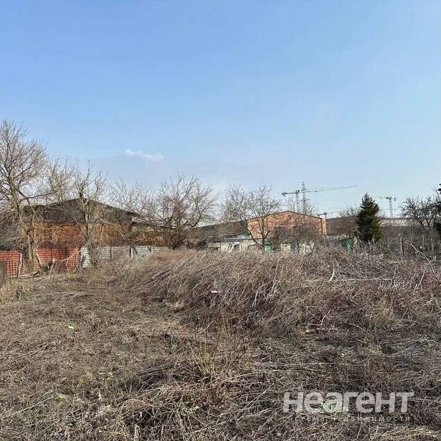 Фотография №4