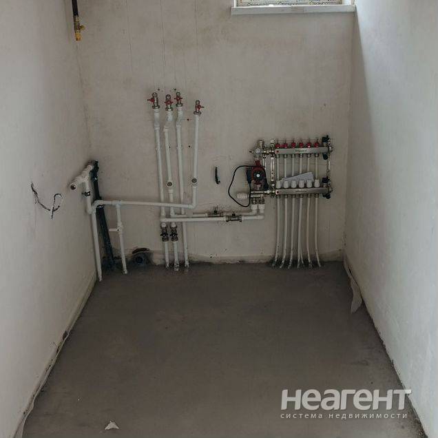 Фотография №4