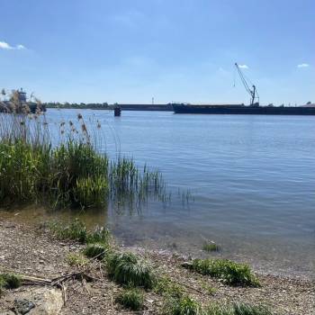 Продается Участок, 880 м²