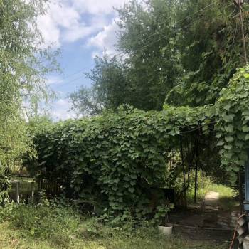 Сдается Дом, 58 м²