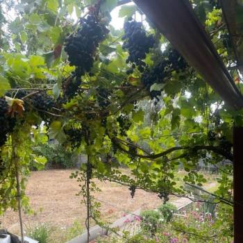 Продается 3-х комнатная квартира, 46 м²