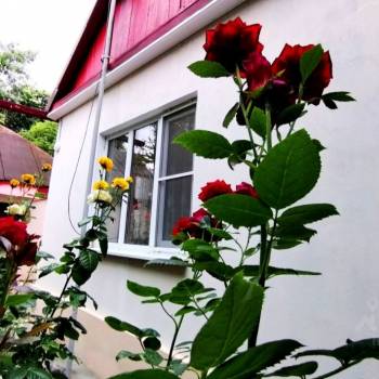 Продается Дом, 79 м²