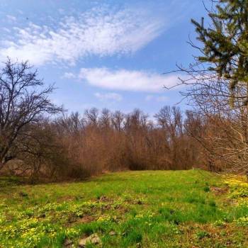 Продается Дом, 79 м²