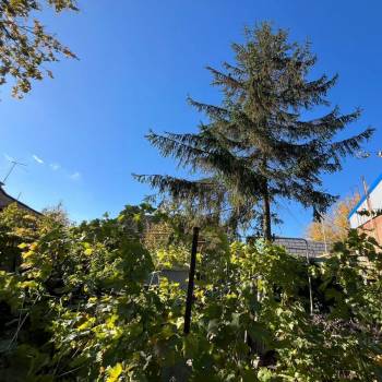 Продается Участок, 640 м²