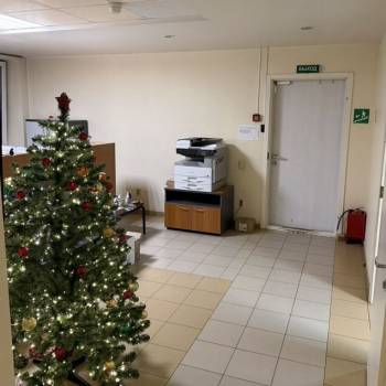 Сдается Офис, 322,3 м²