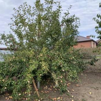 Продается Участок, 600 м²