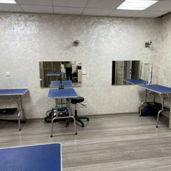 Продается Нежилое помещение, 41,7 м²