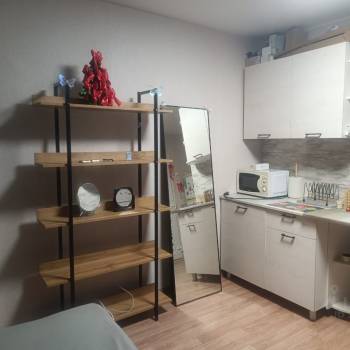 Продается 1-комнатная квартира, 20,5 м²