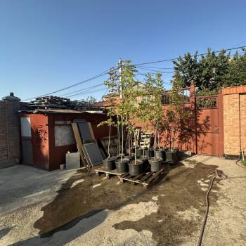 Продается Участок, 250 м²