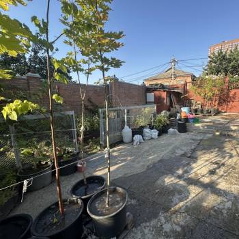 Продается Участок, 250 м²