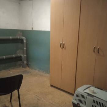 Сдается Нежилое помещение, 37 м²