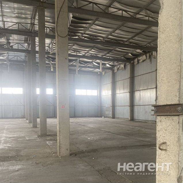 Фотография №4