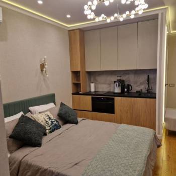 Сдается 1-комнатная квартира, 27 м²