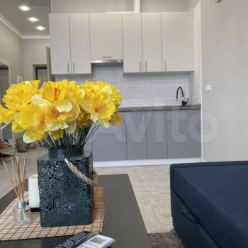 Сдается 1-комнатная квартира, 27 м²