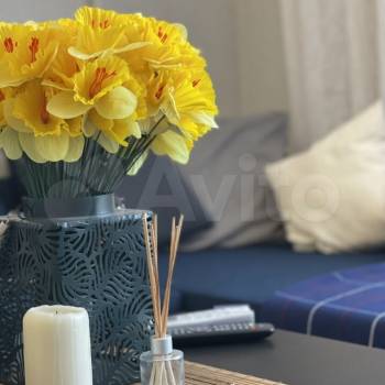 Сдается 1-комнатная квартира, 27 м²