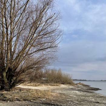 Продается Участок, 23500 м²