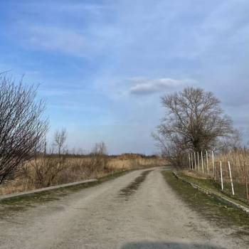 Продается Участок, 23500 м²