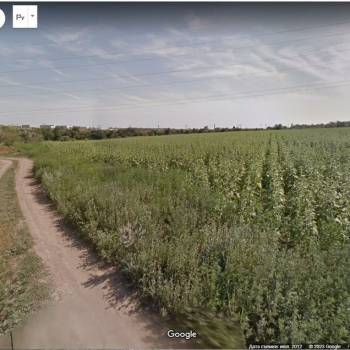 Продается Участок, 39200 м²