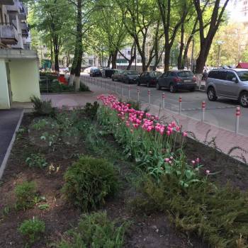 Сдается Многокомнатная квартира, 68 м²