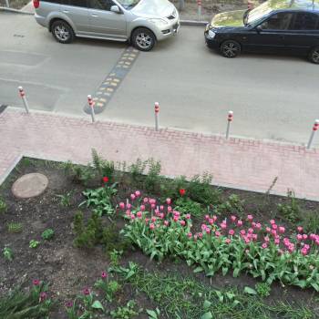 Сдается Многокомнатная квартира, 68 м²