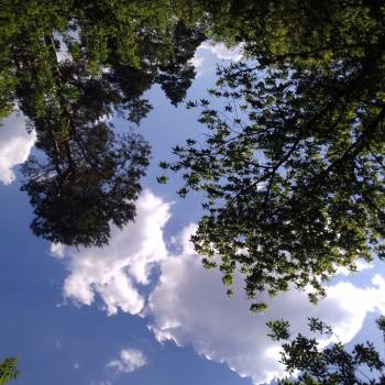 Продается Дом, 100 м²